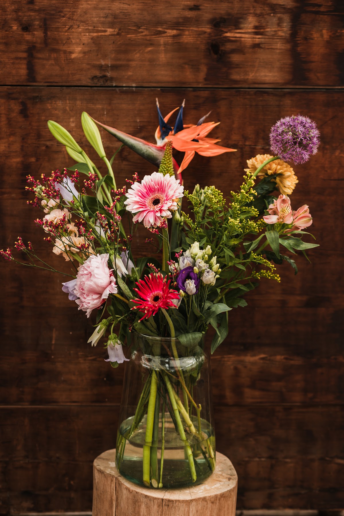 Foto van Van Steenoven Bloemen en Planten in Swifterbant