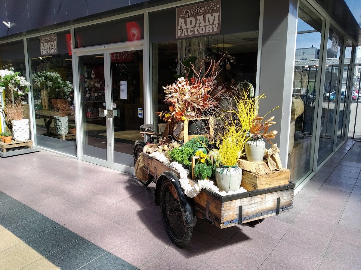 Adam Factory