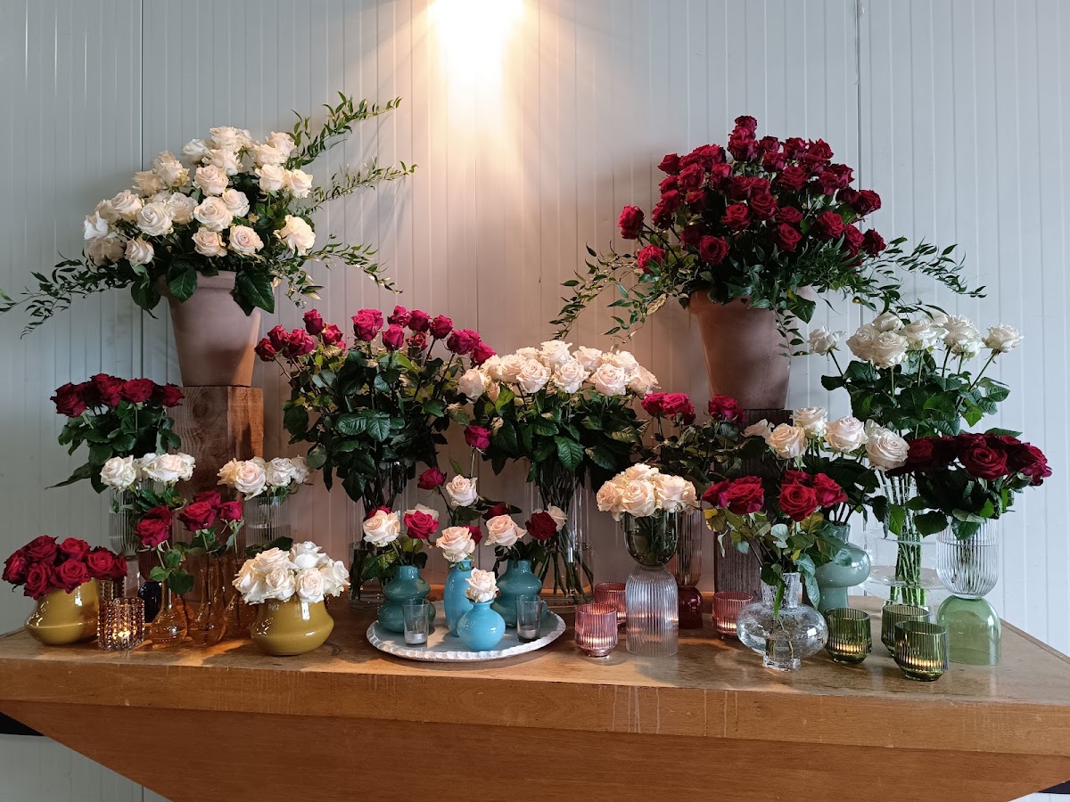 Foto van Brockhoff Rozen in Luttelgeest