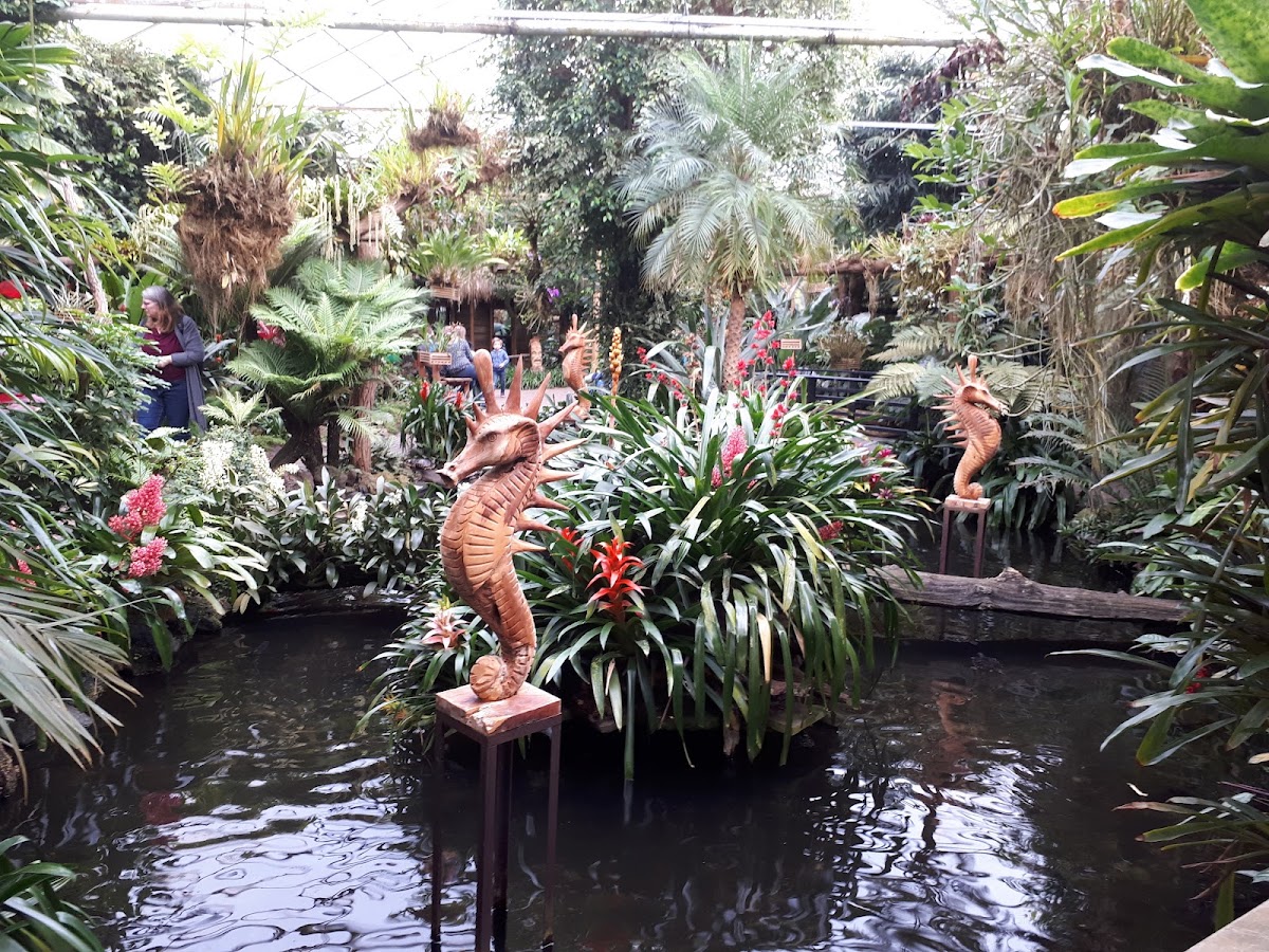 Foto van Forelwereld in Luttelgeest