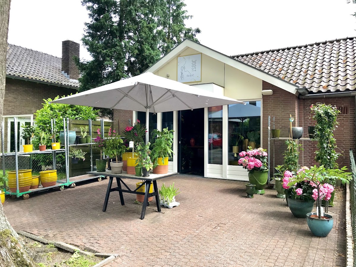 Foto van Joost Floral Art | Bloemist in Nunspeet in Nunspeet