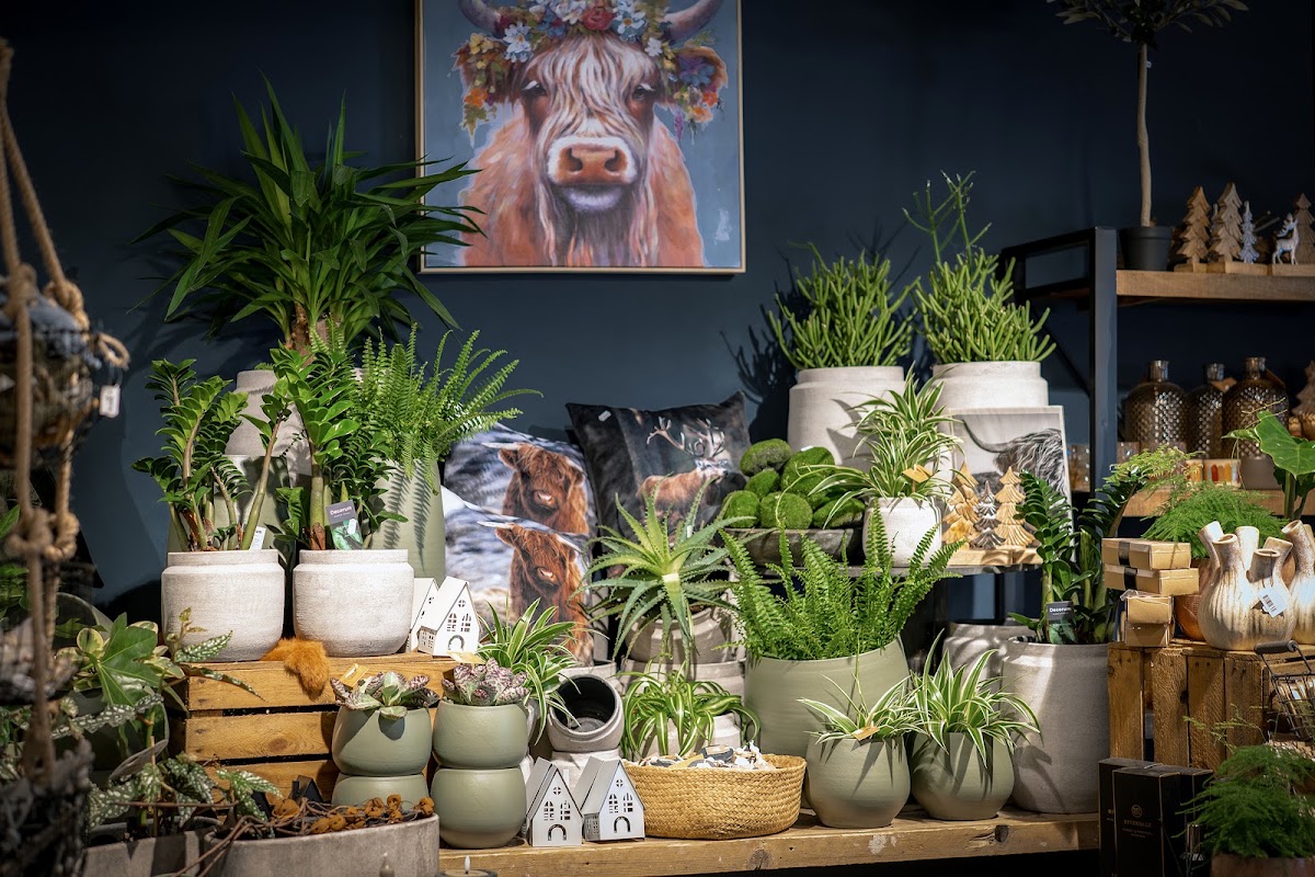 Foto van Bloemenhuis De Passiebloem in Nunspeet