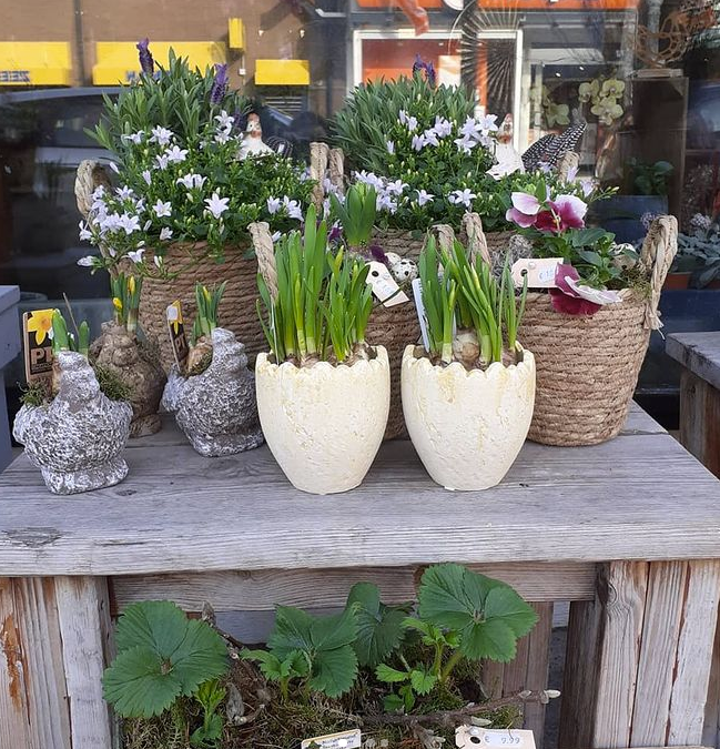 Foto van Bloemenhuis De Passiebloem in Nunspeet