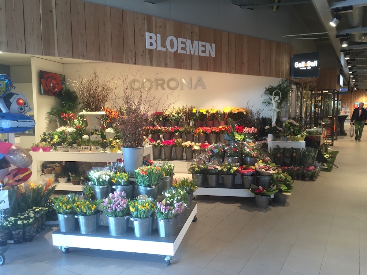 Sven Flowers