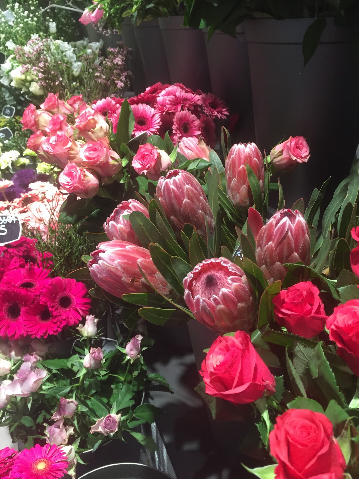 Foto van Sven Flowers in Gorredijk