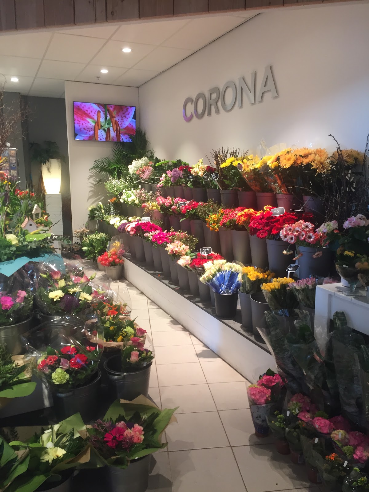 Foto van Sven Flowers in Gorredijk