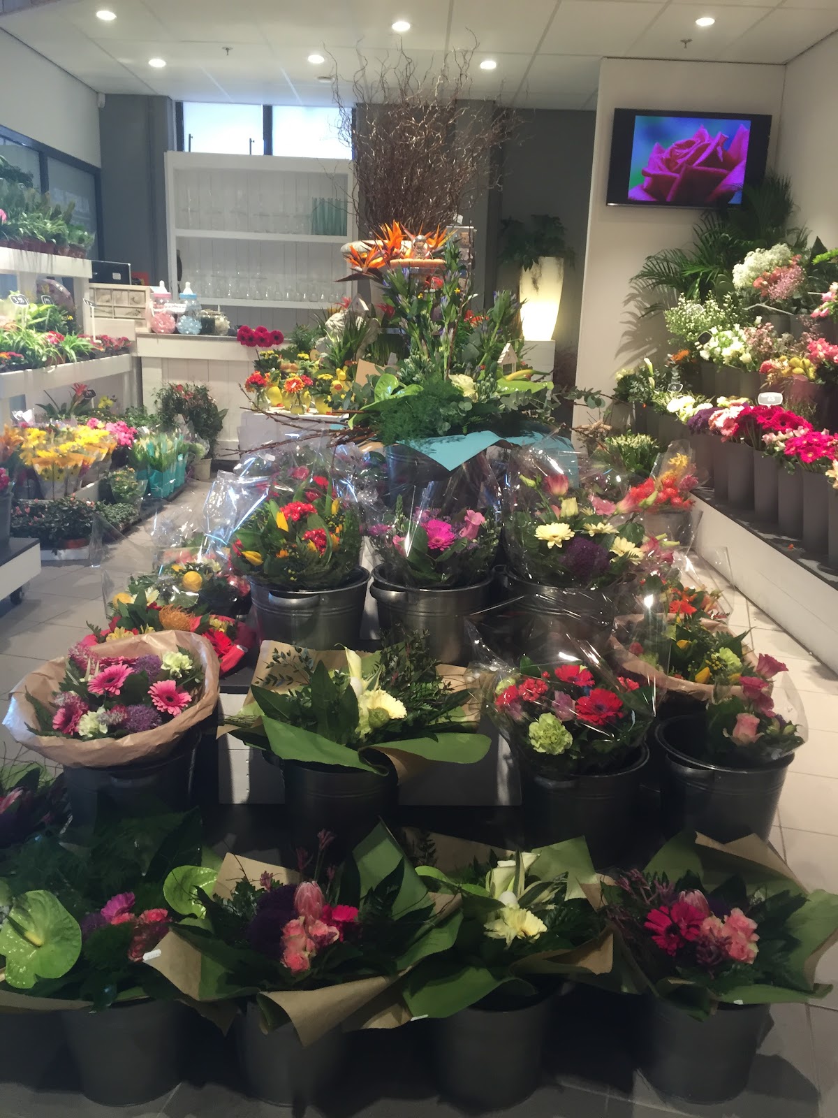 Foto van Sven Flowers in Gorredijk