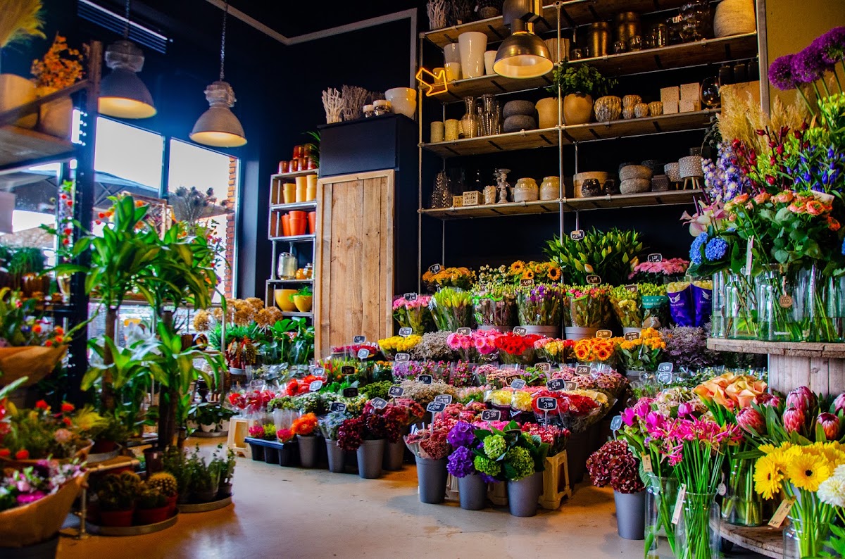 Foto van Damflowers 2.0 BV in Den Haag