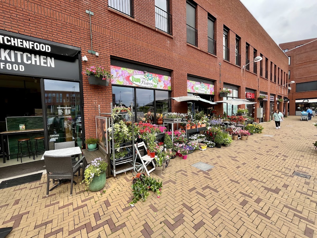 Foto van Damflowers 2.0 BV in Den Haag