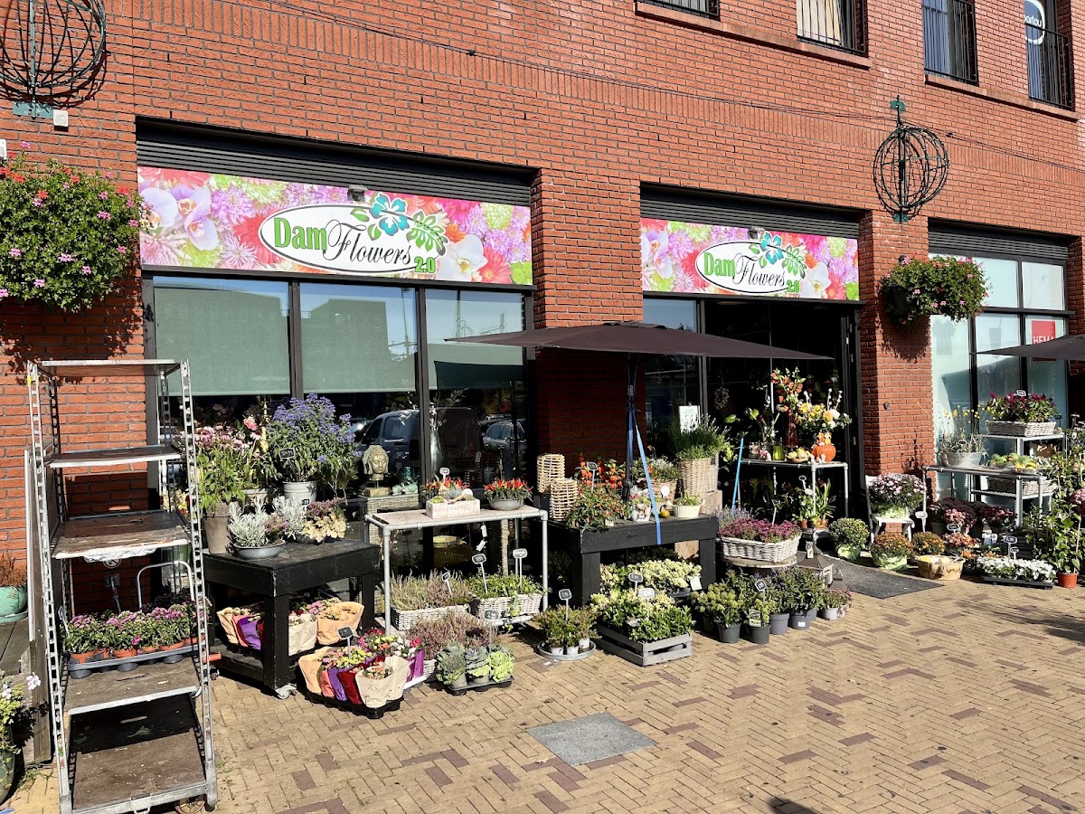Foto van Damflowers 2.0 BV in Den Haag