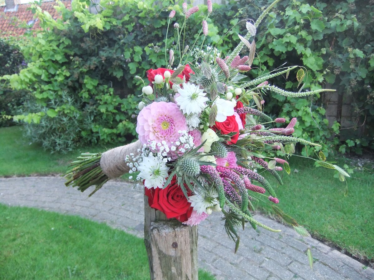 Foto van Blom en Sa in Wolsum