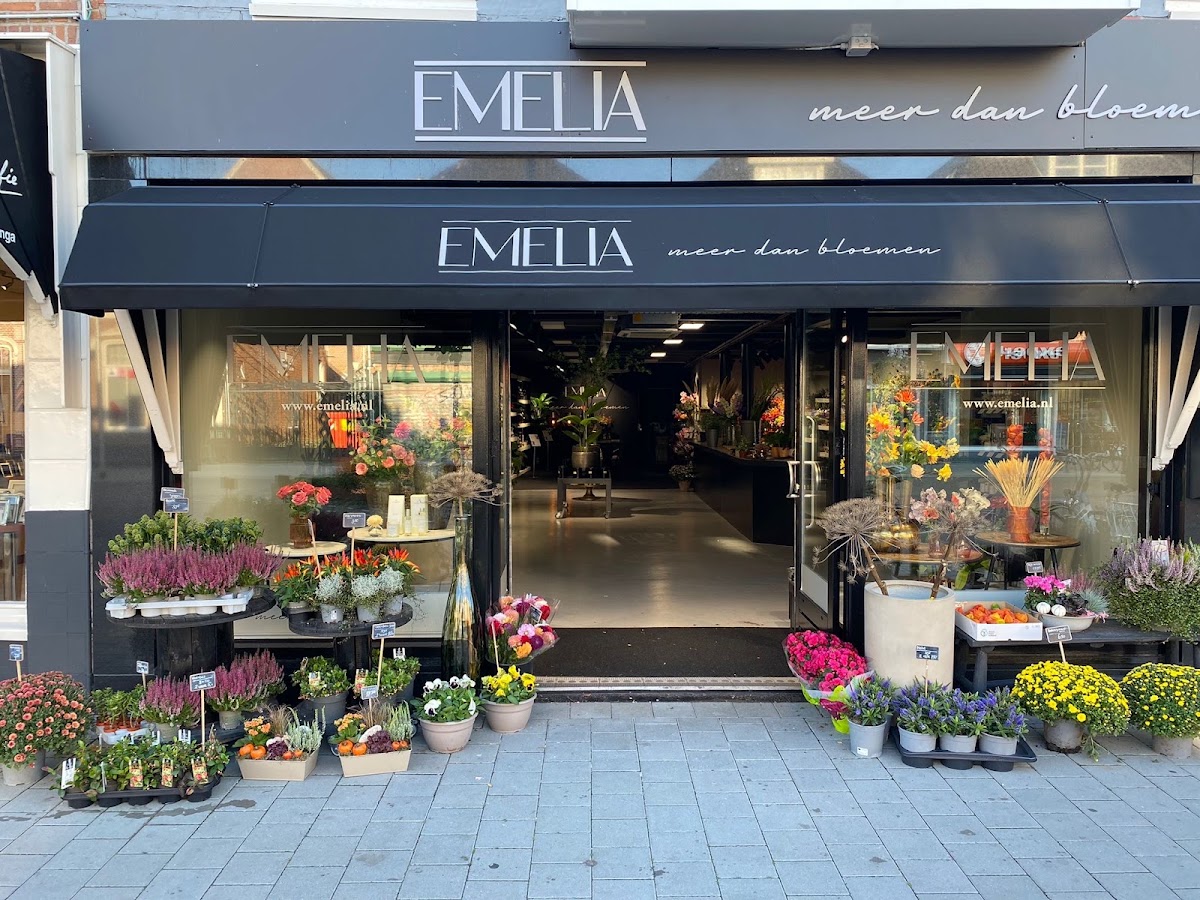 Foto van Emelia, meer dan bloemen.. in Leeuwarden
