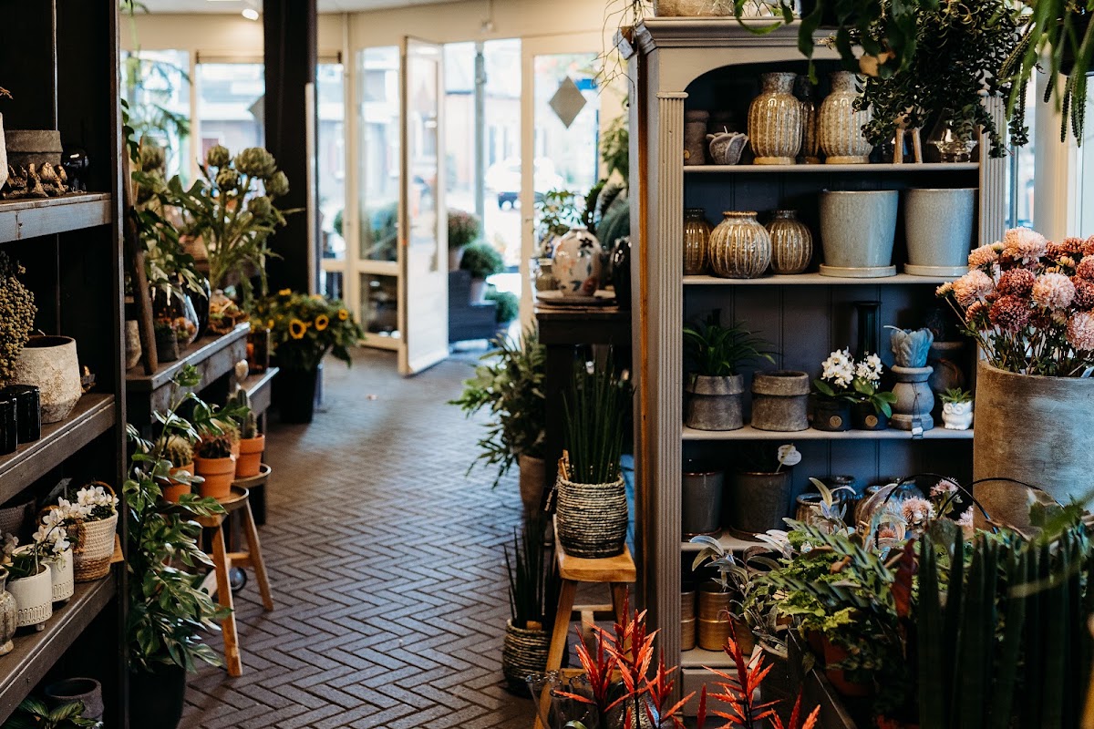 Foto van Bloeiend Blooms in Hengelo