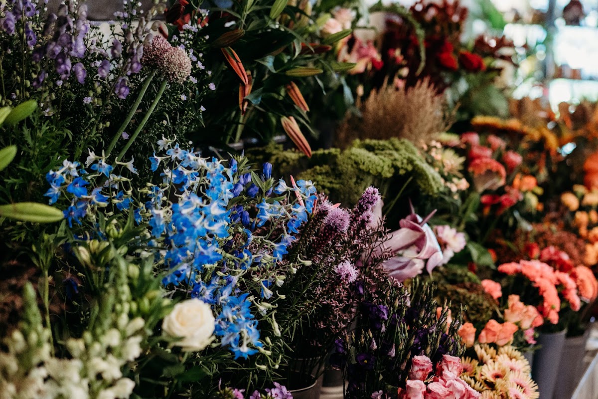 Foto van Bloeiend Blooms in Hengelo
