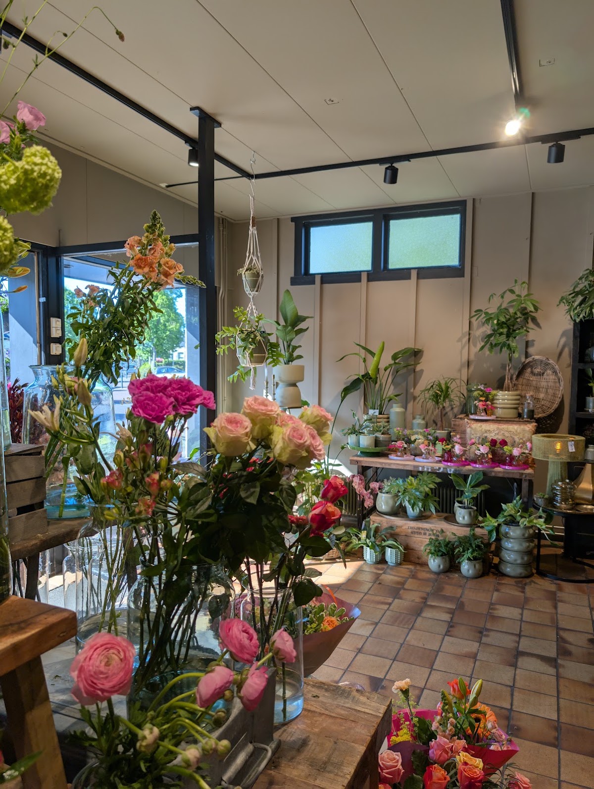 Foto van Bysûnder yn blommen in Gorredijk