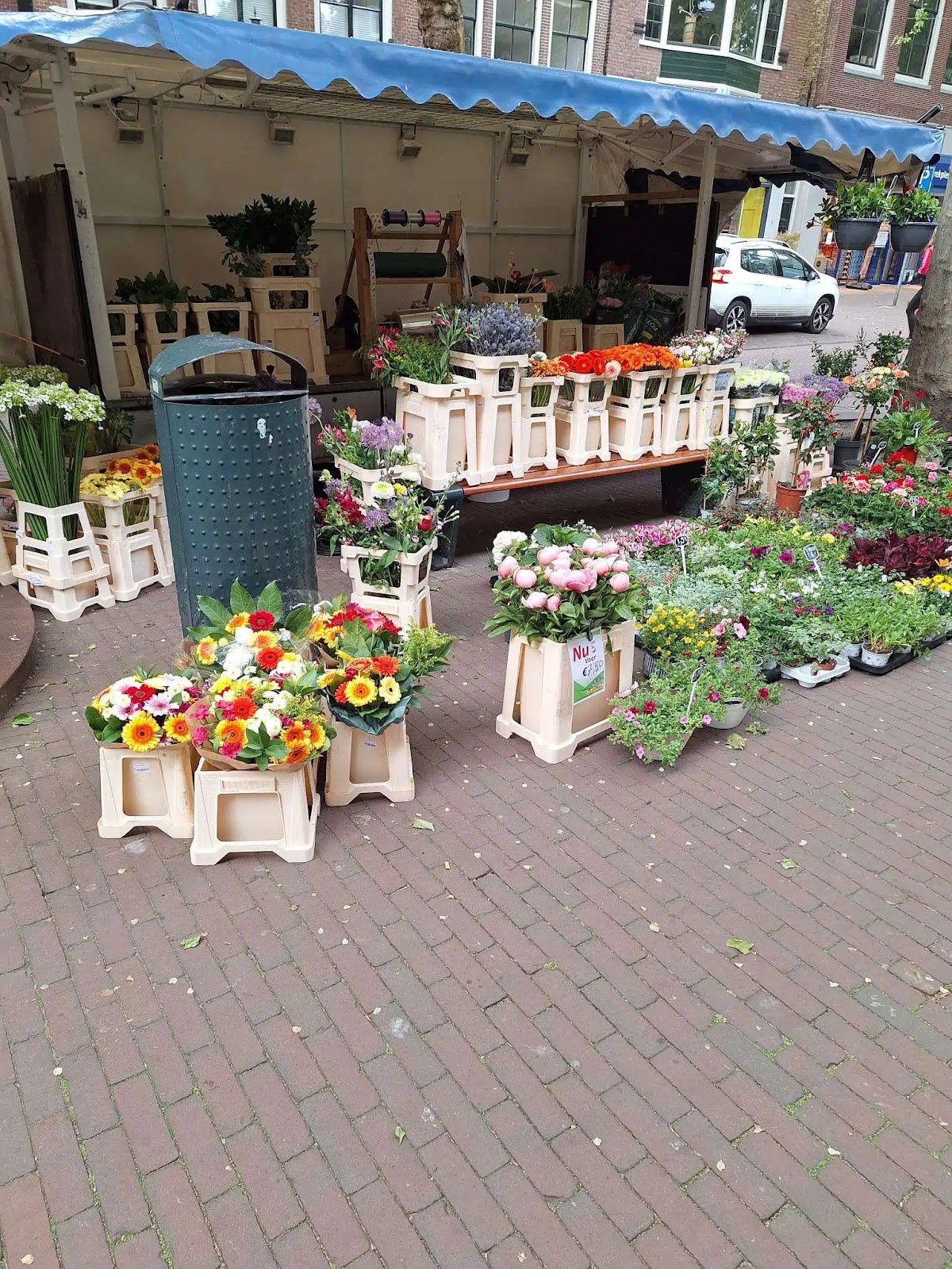 Foto van De Gerbera's in Oudehaske