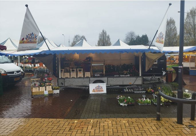 Foto van De Gerbera's in Oudehaske