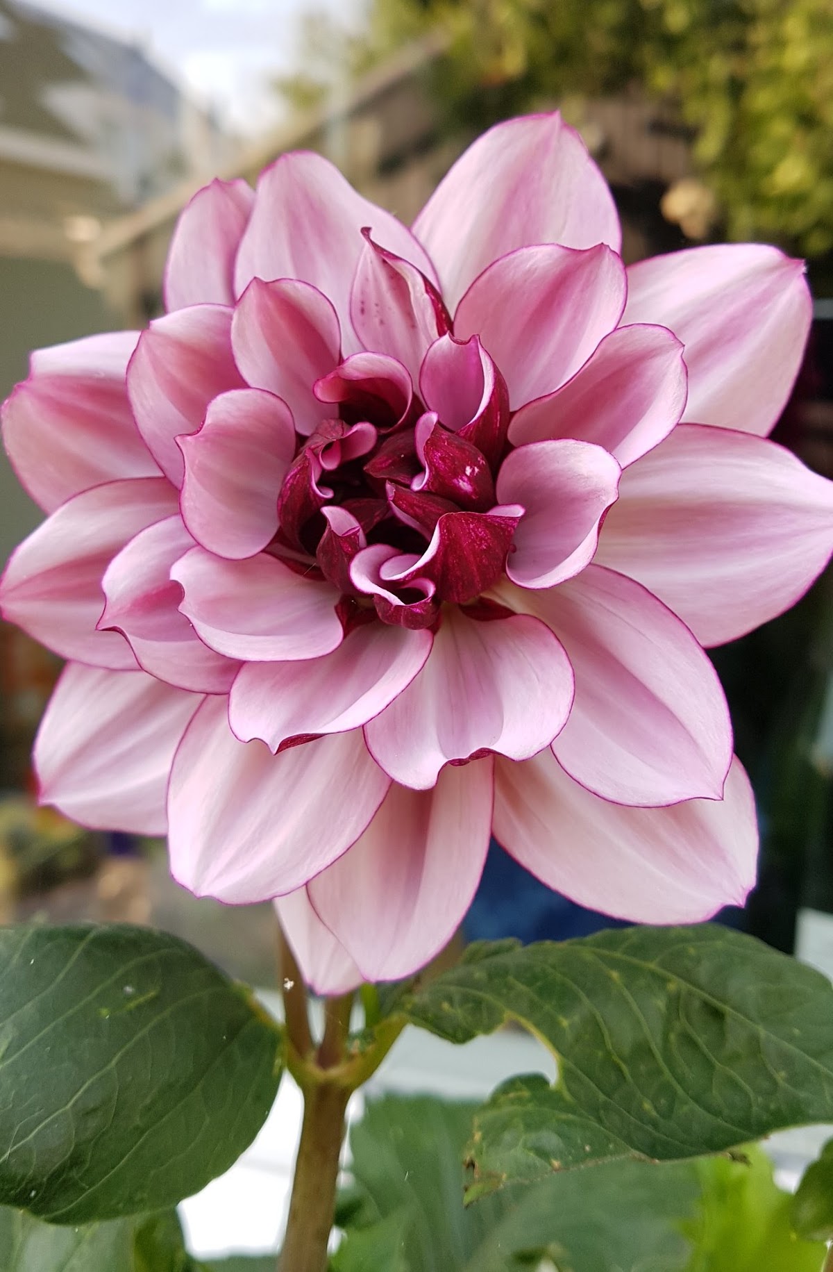 Foto van Bloem Kunsten Reina Visser in Leeuwarden