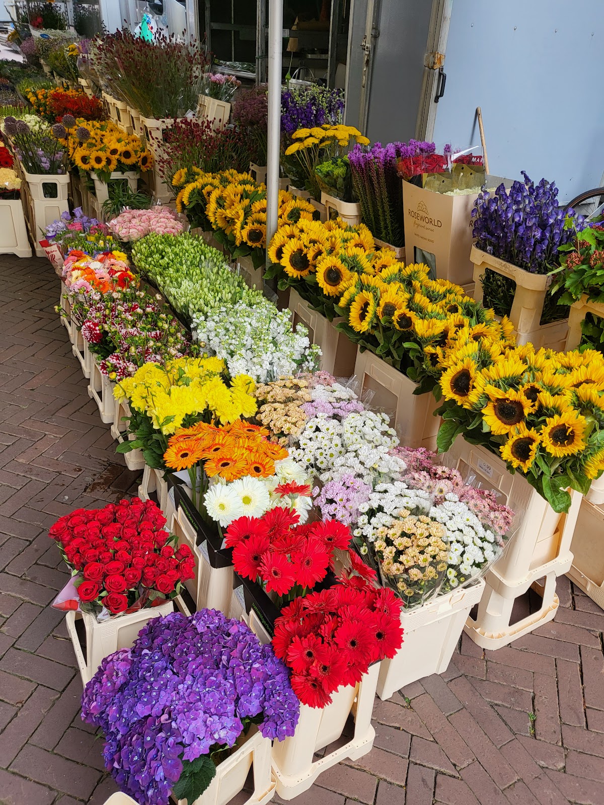 Foto van Boonstra Bloemen in Leeuwarden