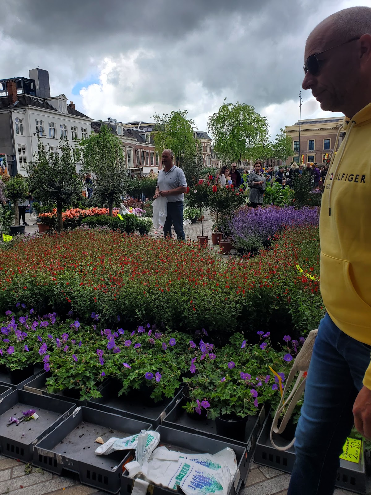 Foto van Boonstra Bloemen in Leeuwarden