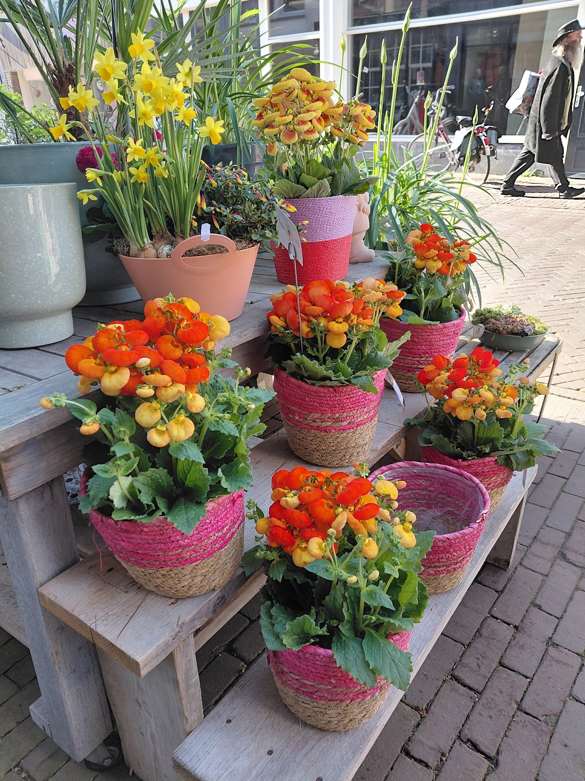 Foto van Passiefloral in Sneek