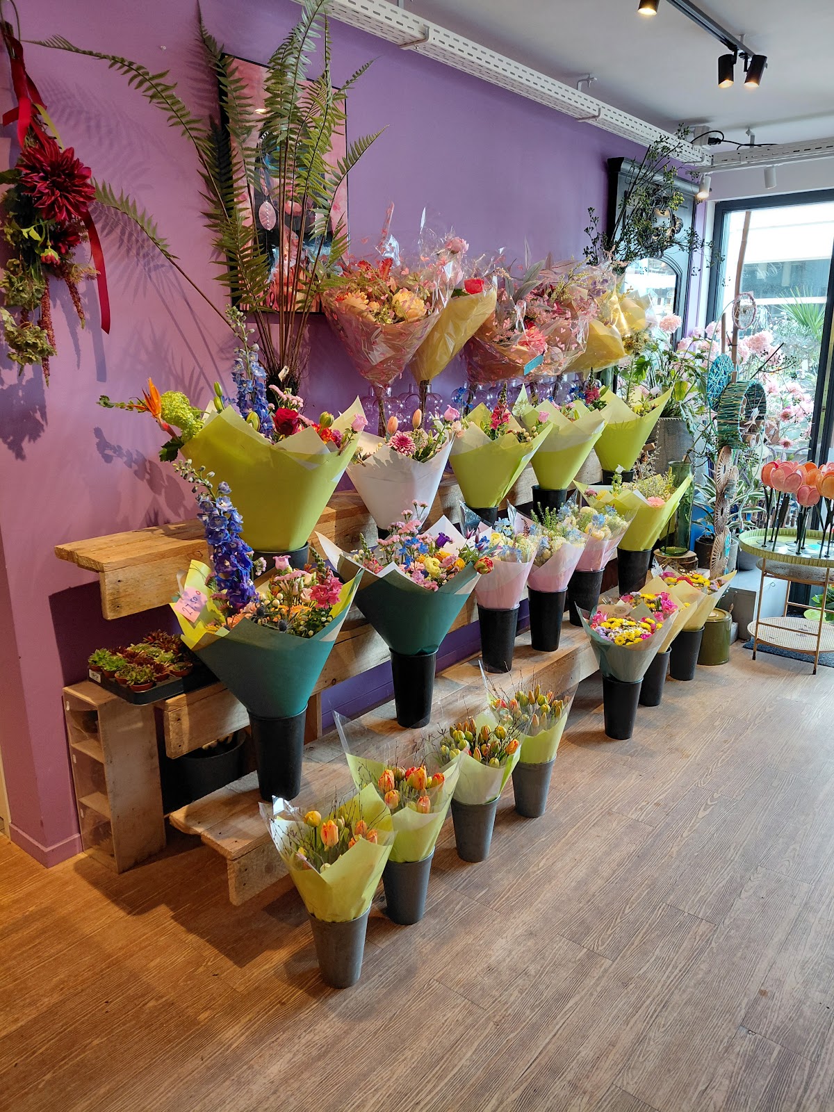 Foto van Passiefloral in Sneek