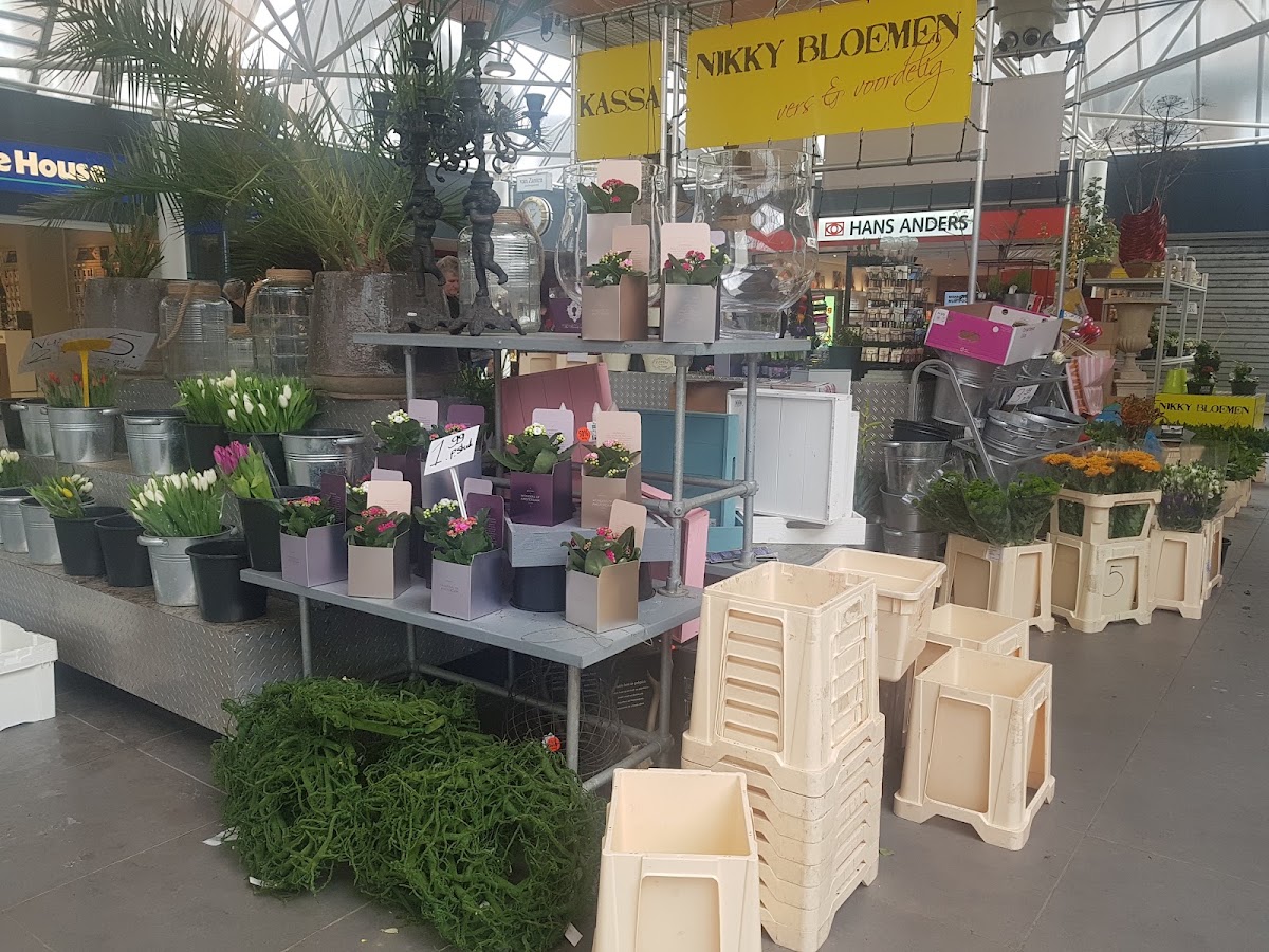 Foto van Nikky Bloemen in Leek