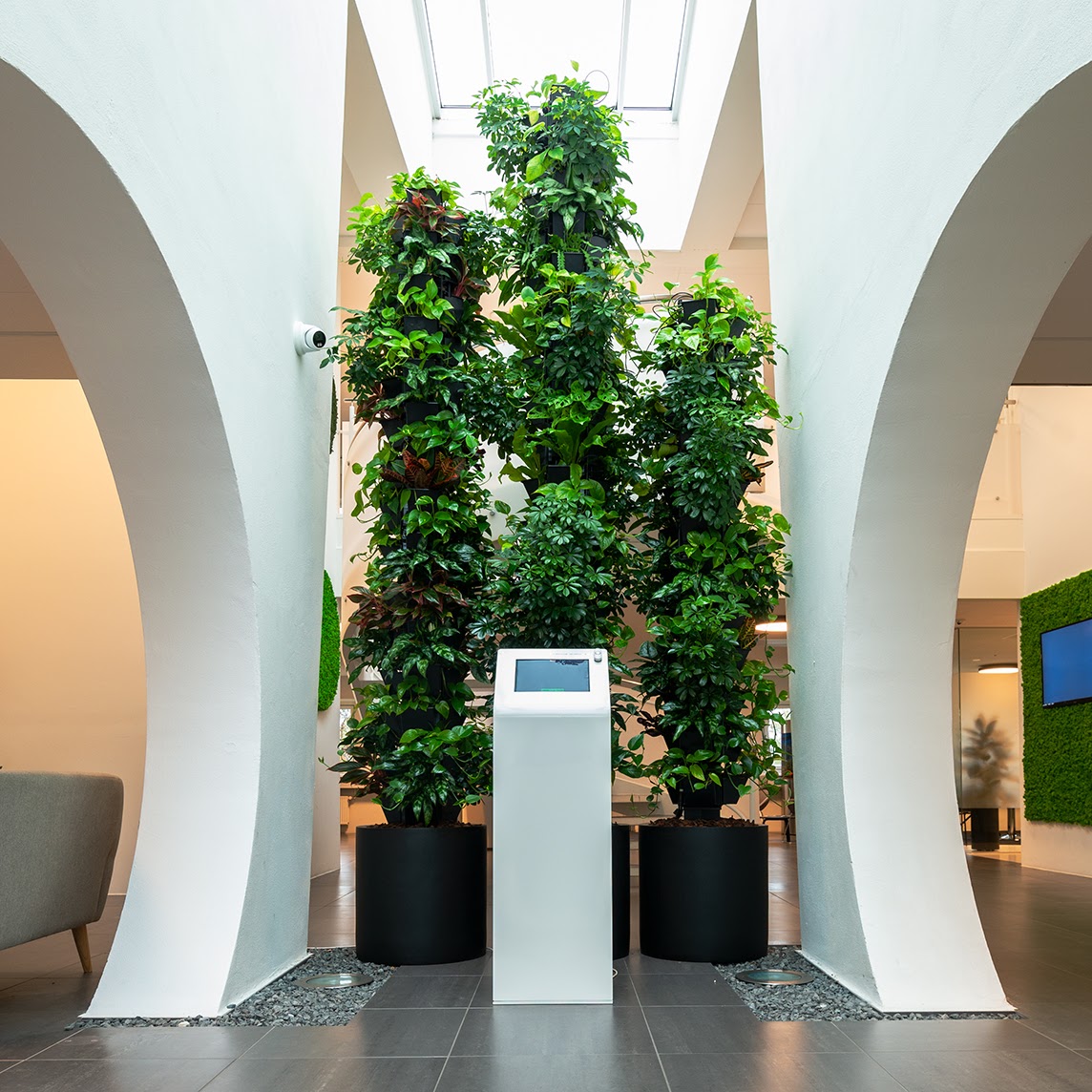 Foto van Ten Brinke Interieurbeplanting B.V. in Zevenaar