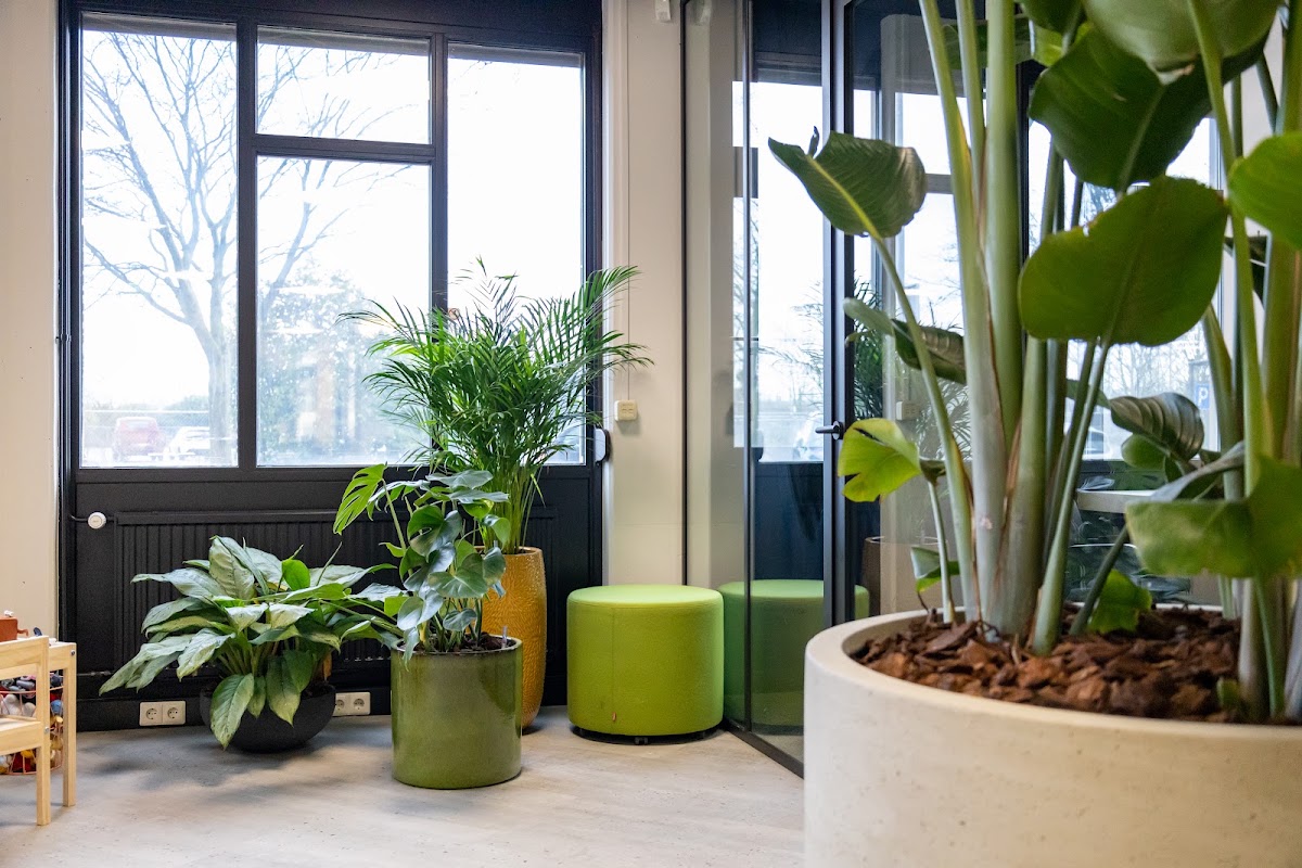 Foto van Ten Brinke Interieurbeplanting B.V. in Zevenaar