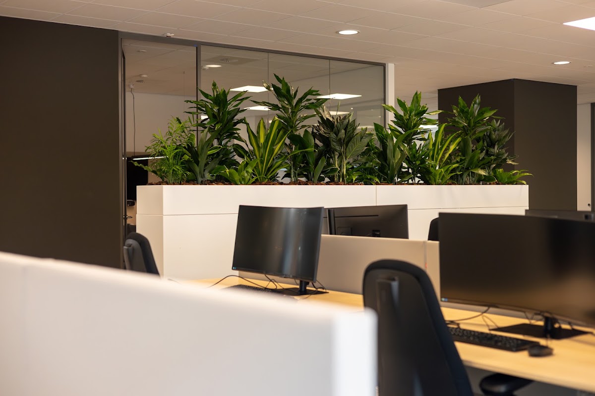 Foto van Ten Brinke Interieurbeplanting B.V. in Zevenaar