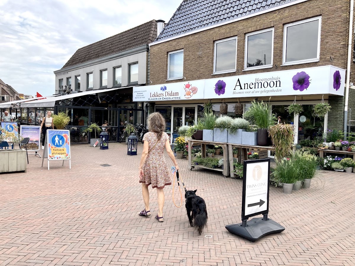 Bloemenhuis Anemoon