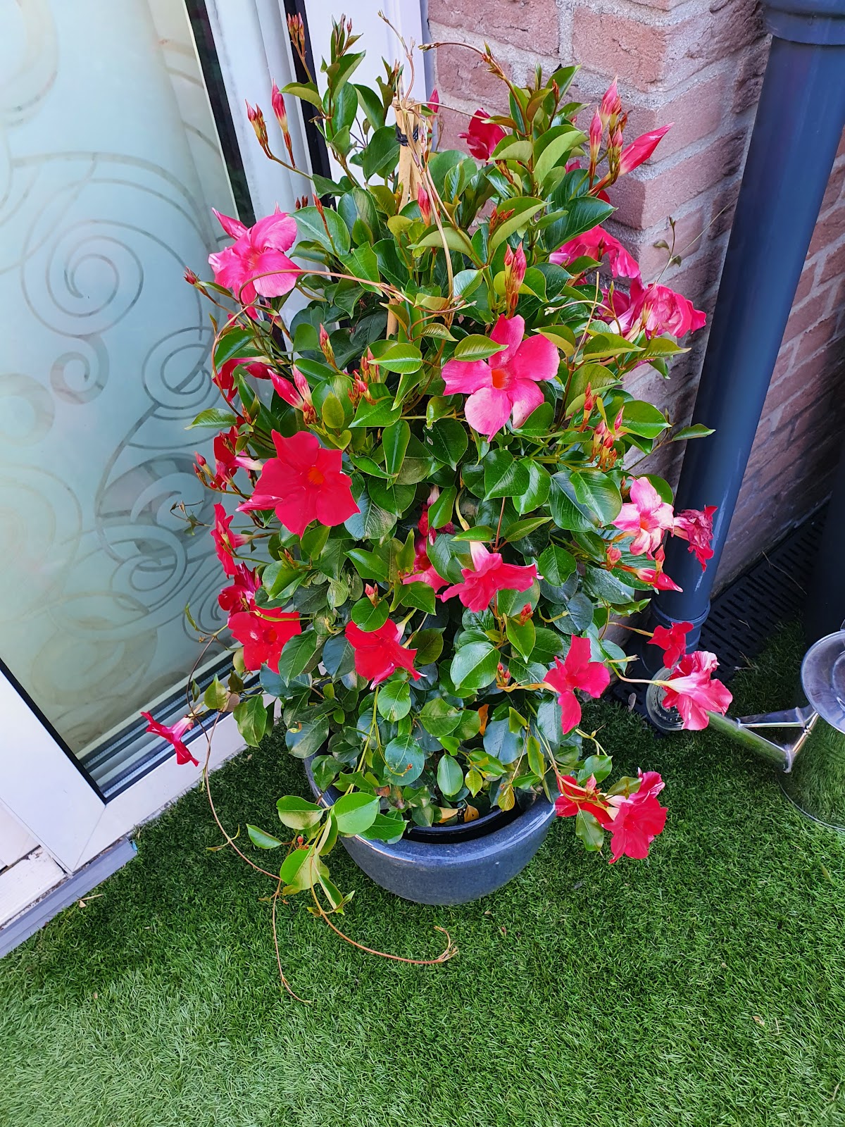 Foto van Bloemenhuis Anemoon in Didam