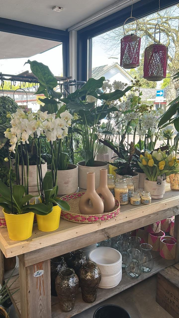 Foto van Bloem en Groen Schalkhaar in Schalkhaar