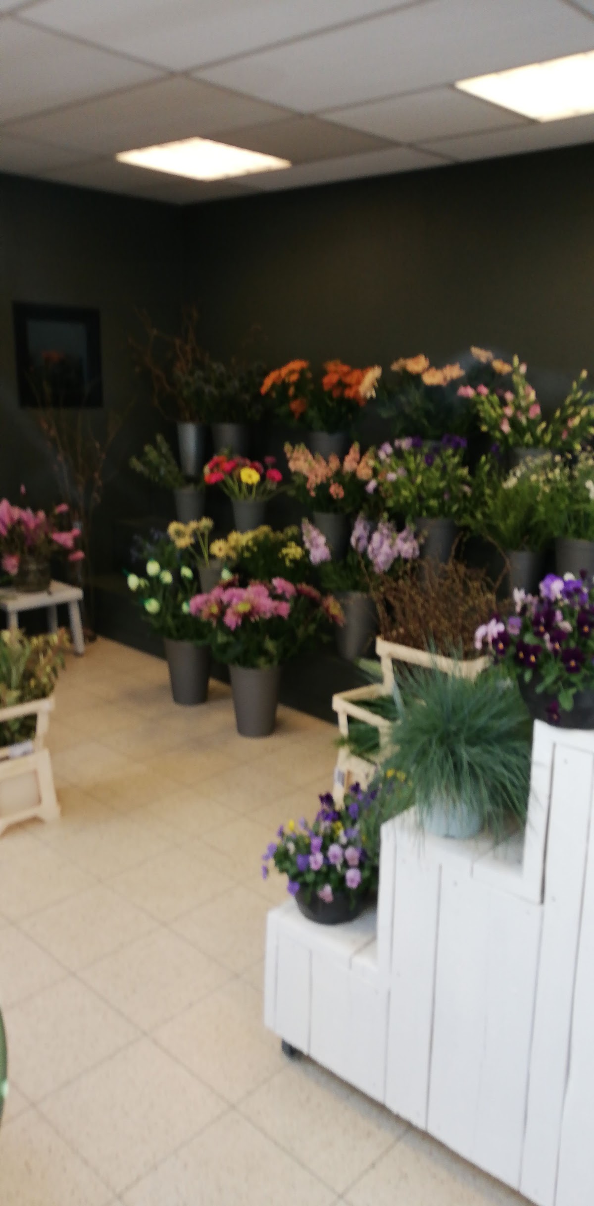 Foto van BLoem&meer in Eefde