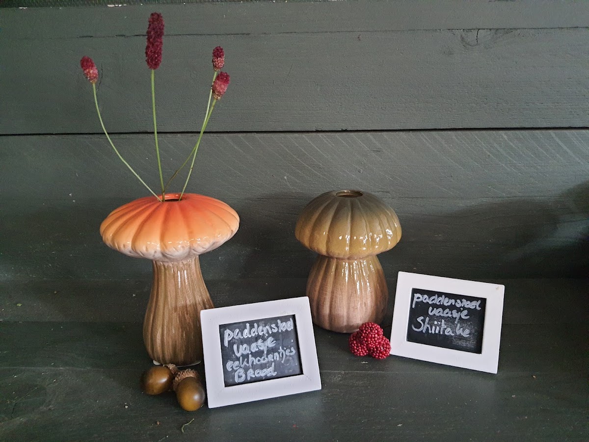 Foto van BLoem&meer in Eefde