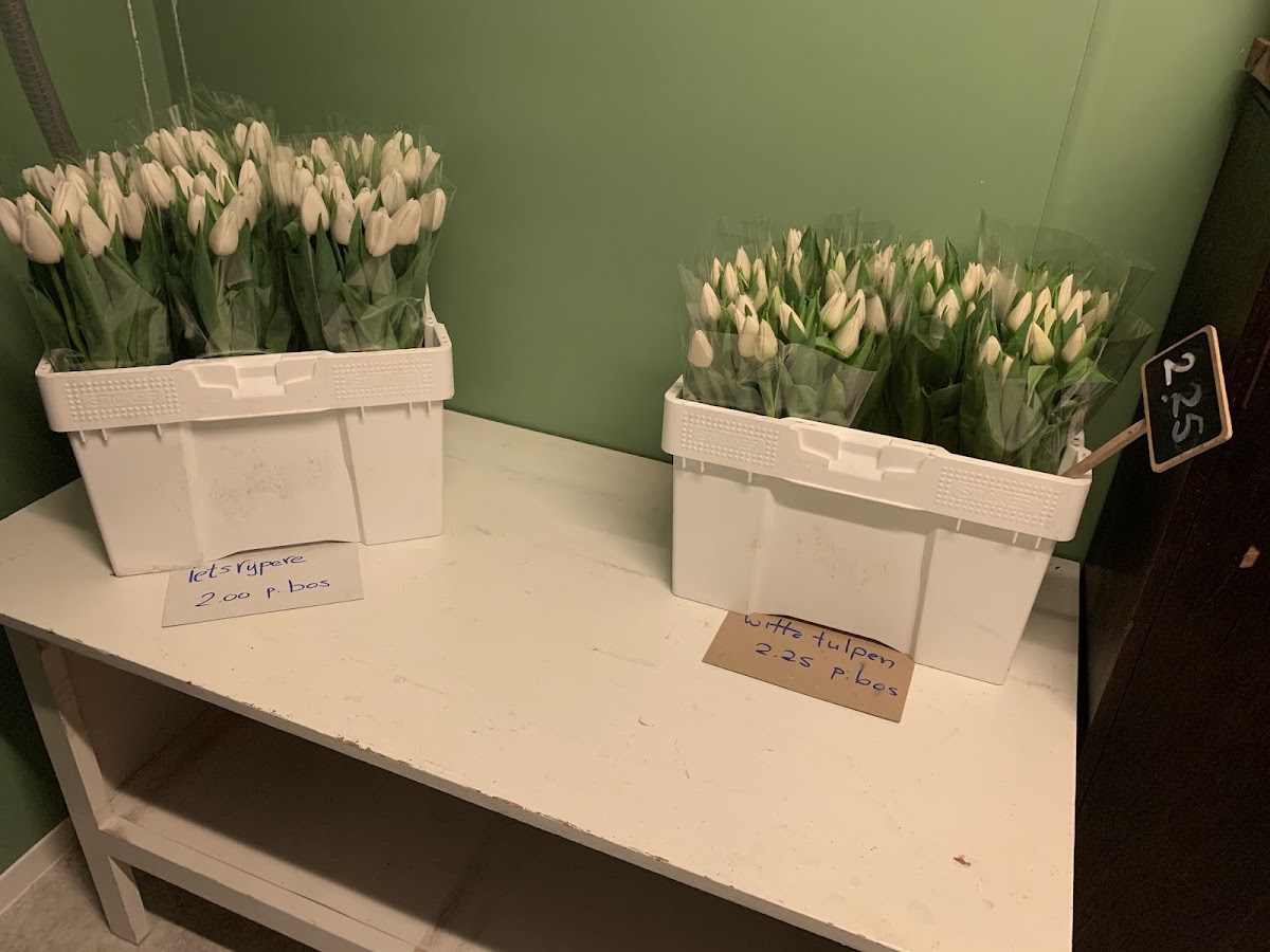 Foto van Bloemen van Luyona in Aarlanderveen
