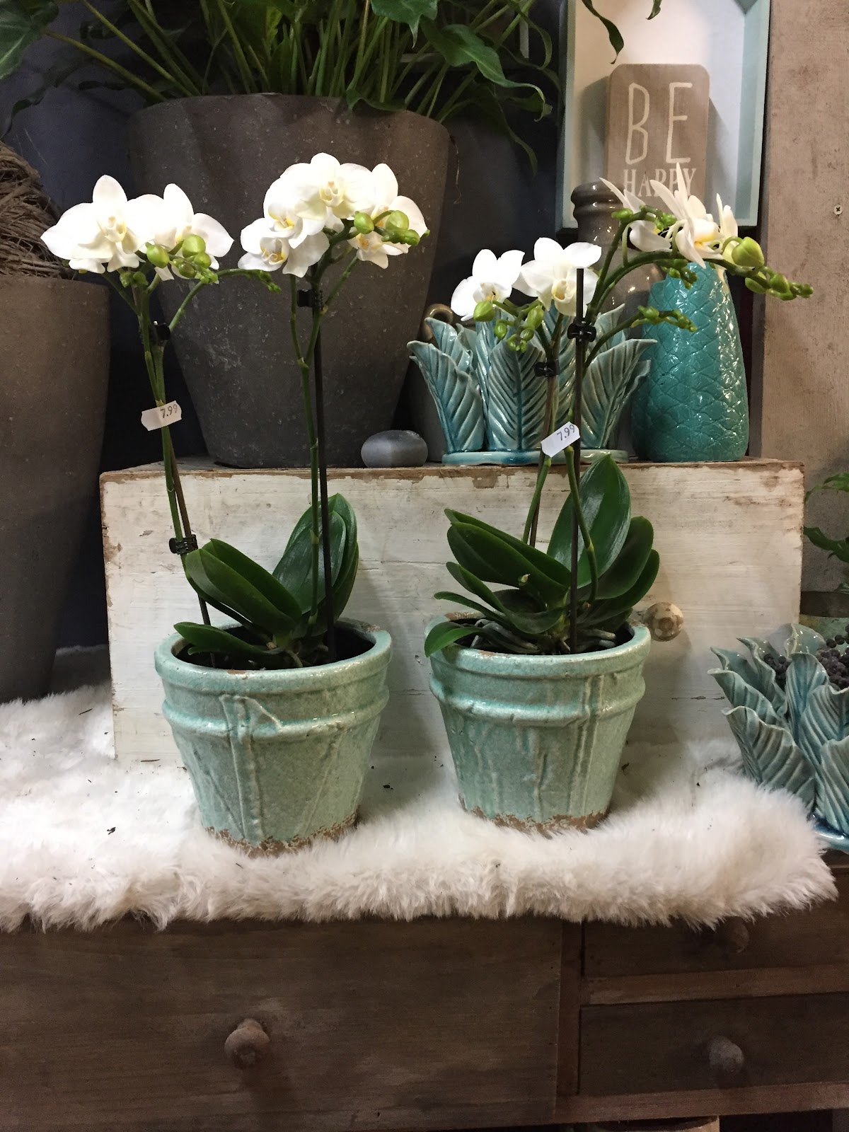 Foto van de Bloemenwinkel by Marilène in Apeldoorn