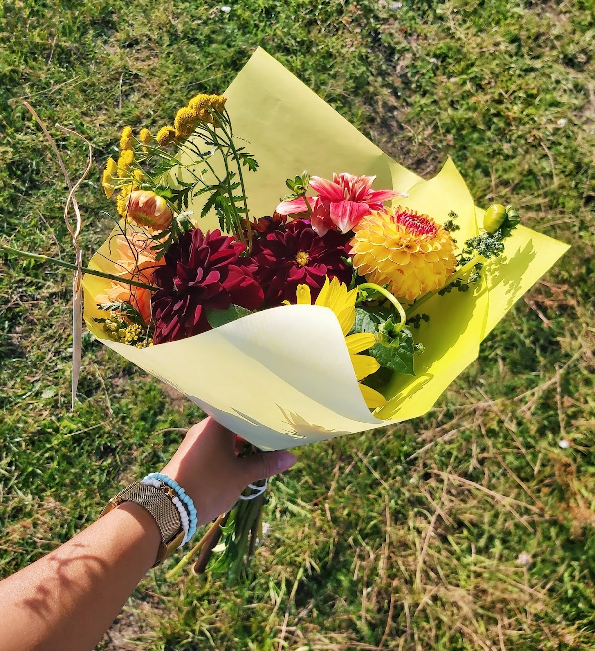 Foto van Kwekerij & Pluktuin Bloemrijk in Wageningen
