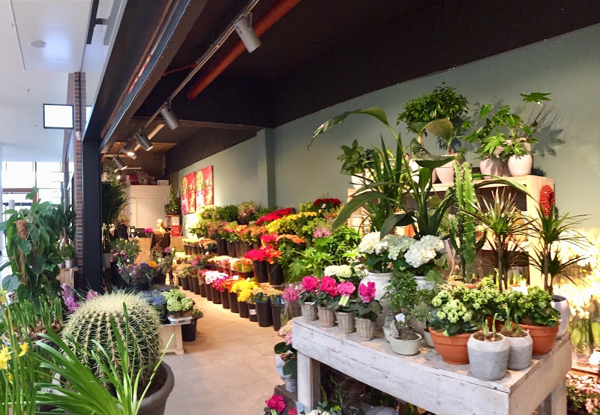 Foto van Marco's Bloemen in Arnhem