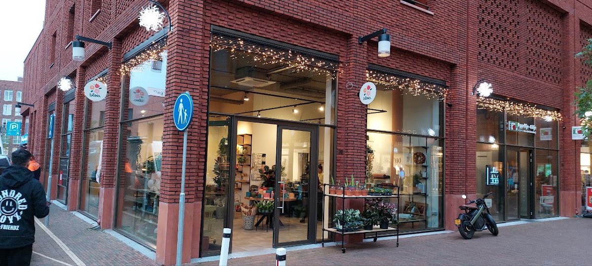 Foto van Bloei in Lent