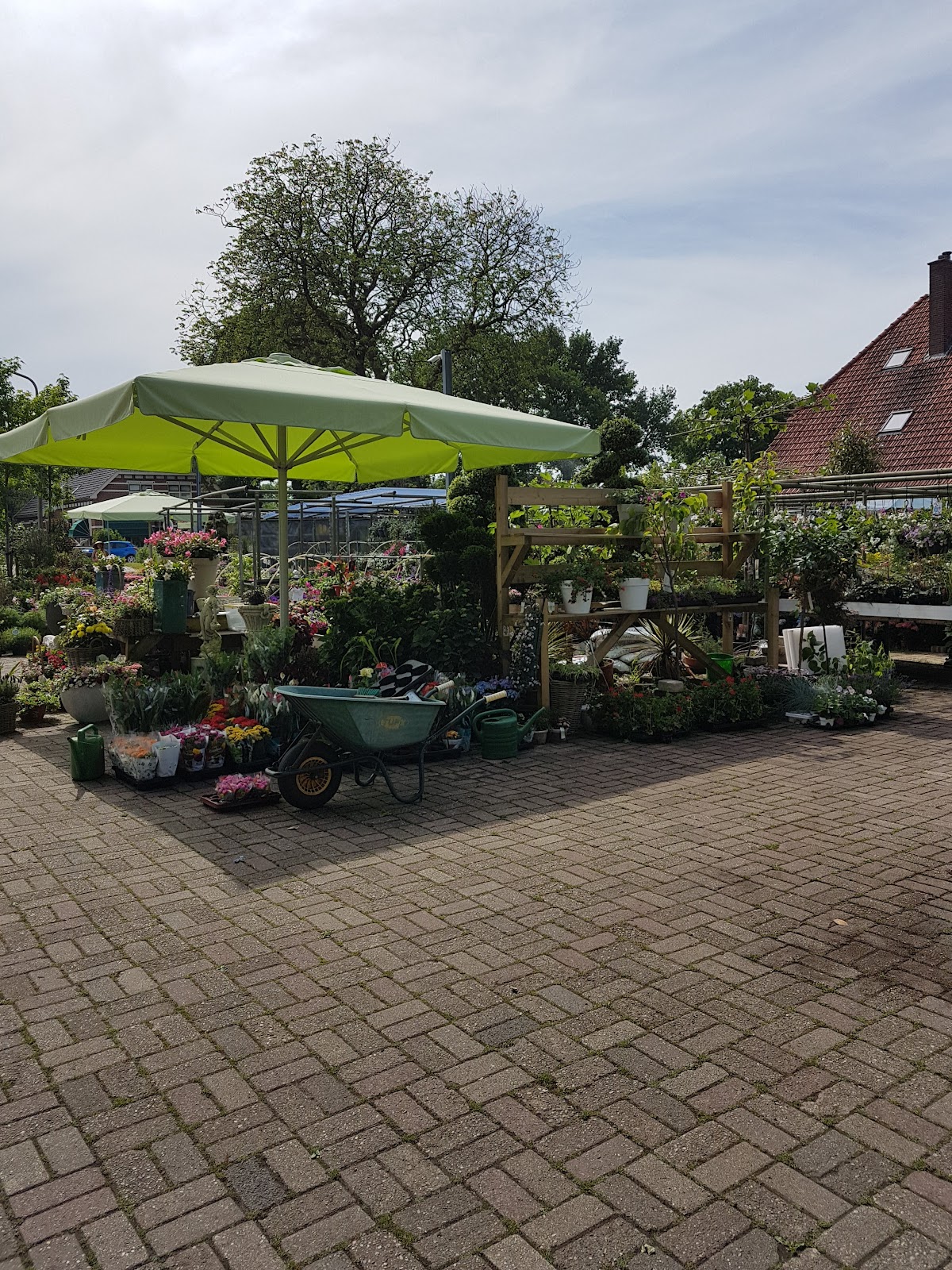 Foto van Semper Florens in Nieuw-Dordrecht