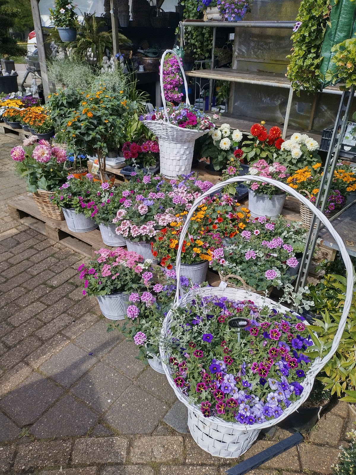 Foto van Semper Florens in Nieuw-Dordrecht