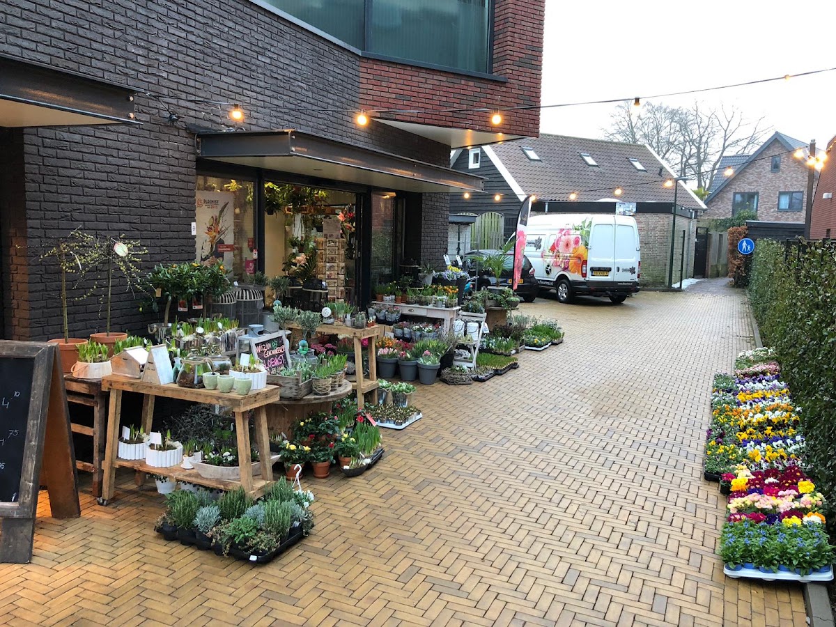 Foto van Bloemisterij Fleurina in Voorthuizen