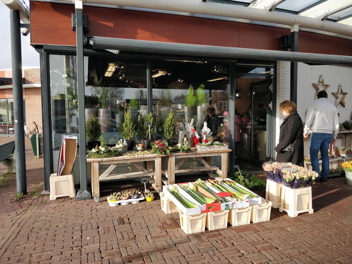 De Blauwe Steen Senta Braaksma