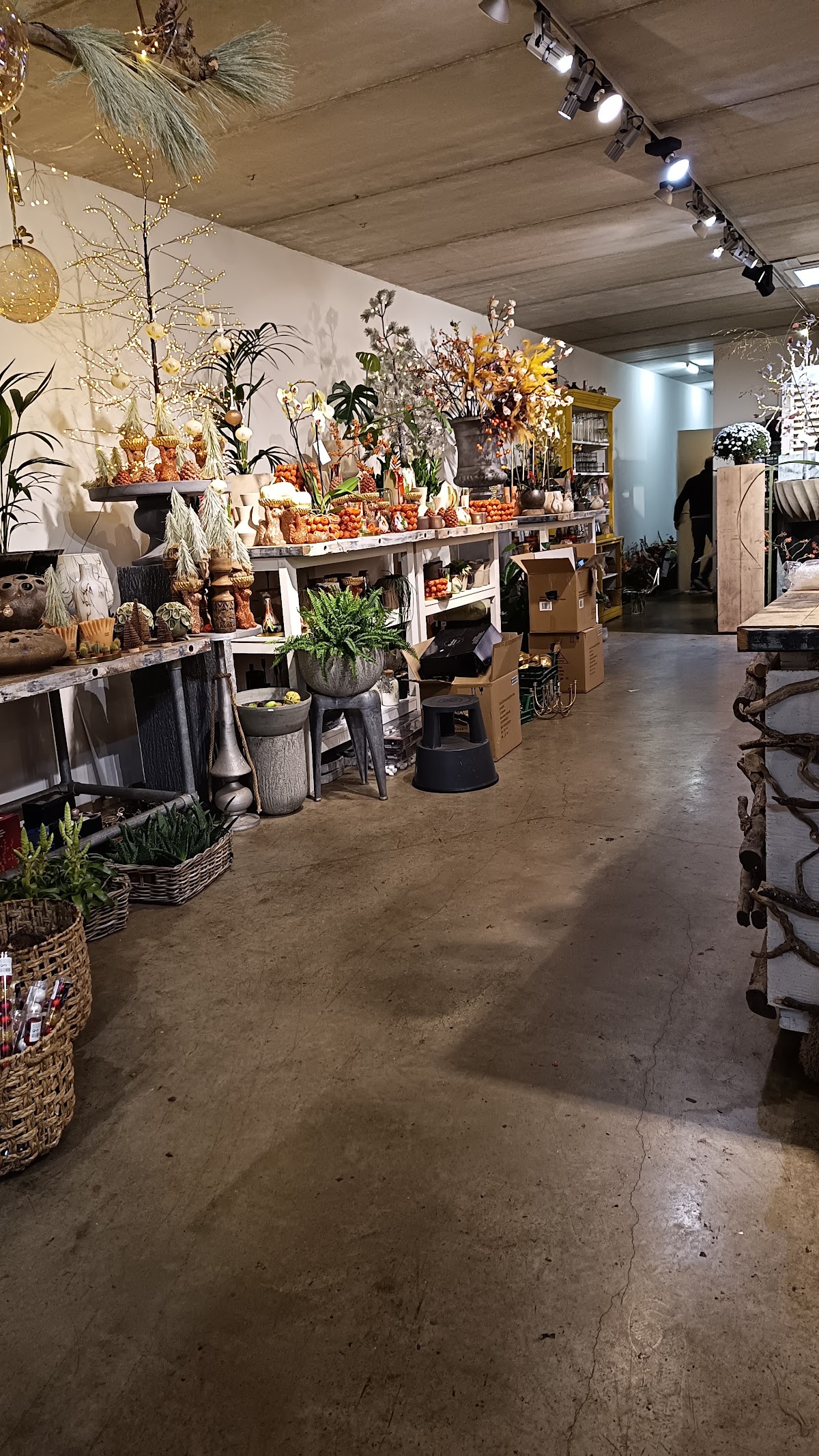 Foto van Timmermans & Mulder Bloemenspeciaalzaak in Winterswijk