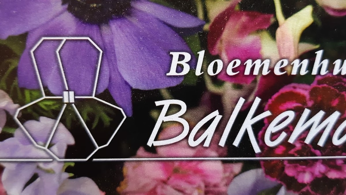 Foto van Bloemenhuis Balkema V.O.F. in Bedum