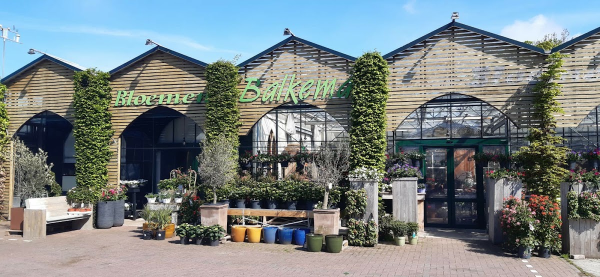 Foto van Bloemenhuis Balkema V.O.F. in Bedum