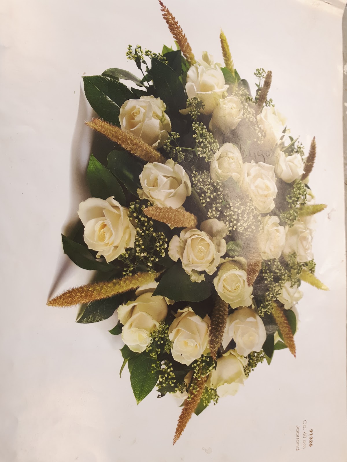Foto van Bloemen- en Plantencentrum Scheerhoorn B.V. in Leek