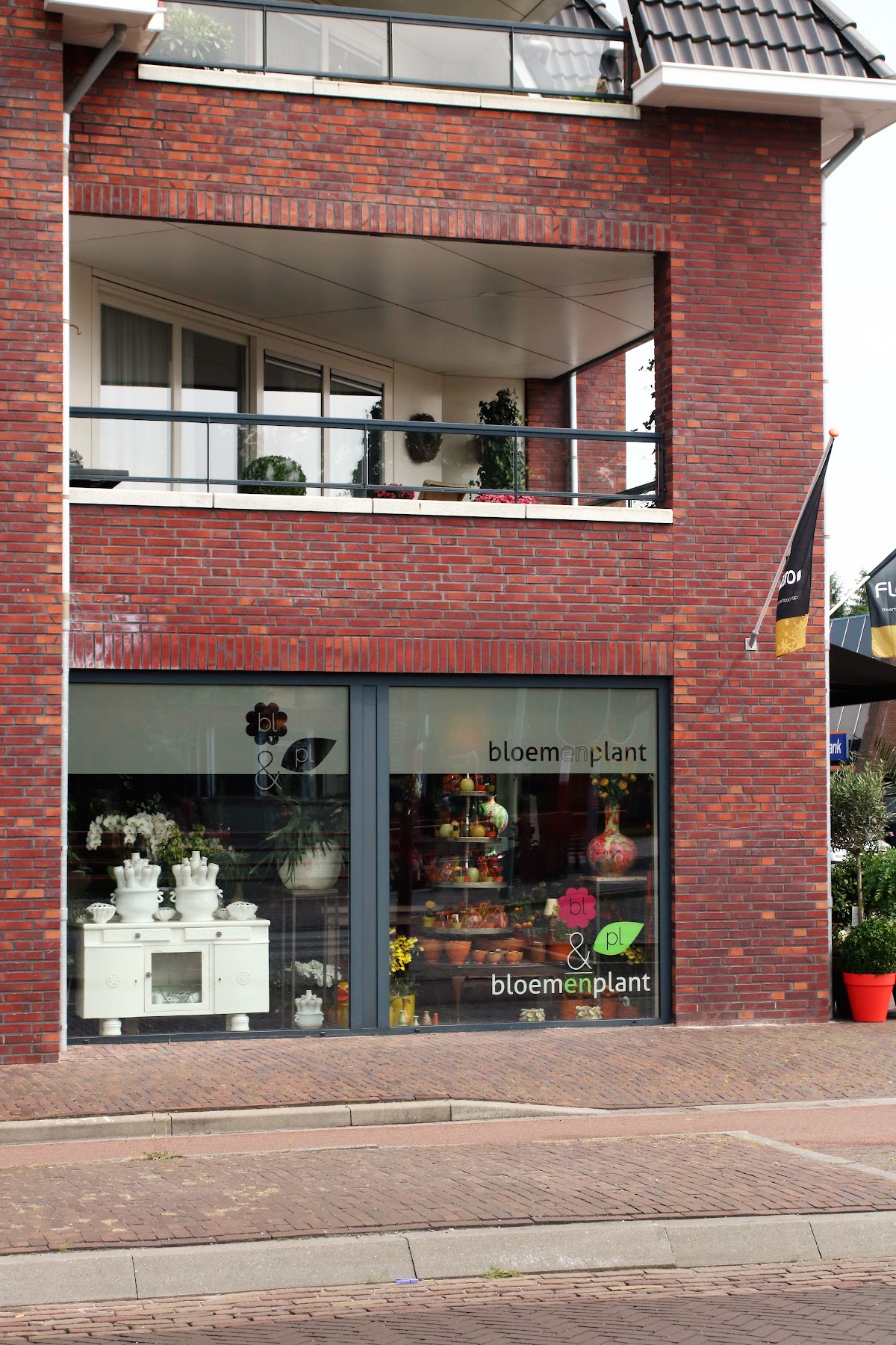 Foto van Bloem En Plant in Musselkanaal