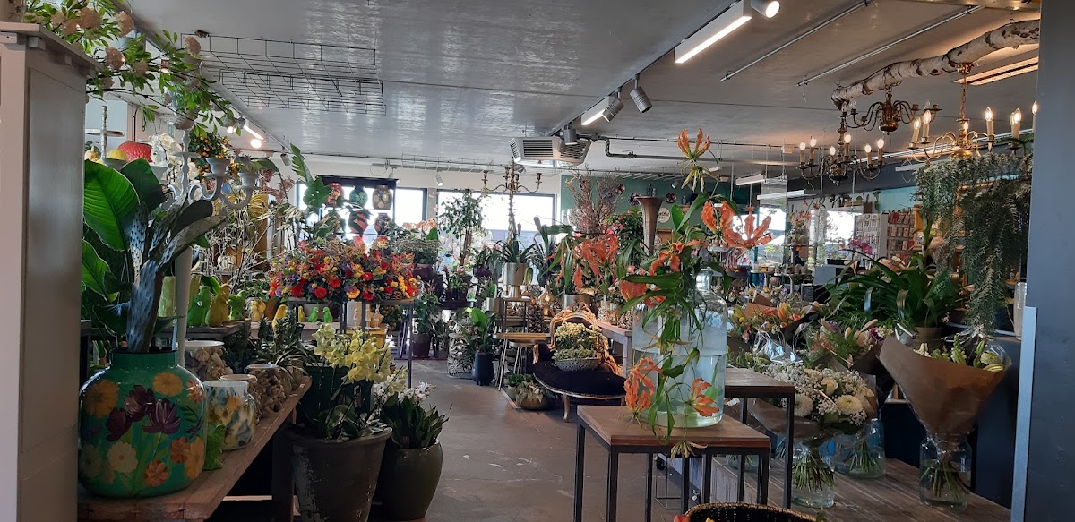Foto van Bloem En Plant in Musselkanaal